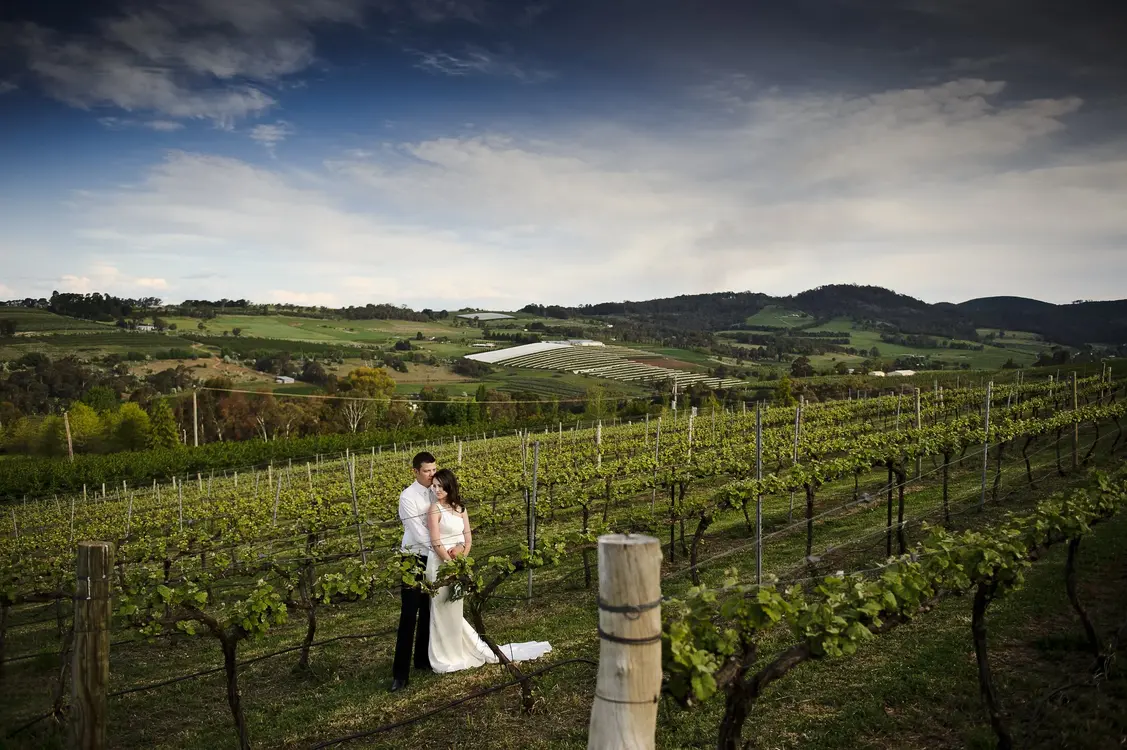 vineyard-bride